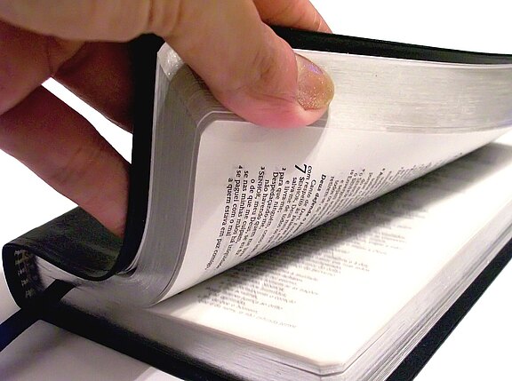 pedroivo-bible-879073.jpg  