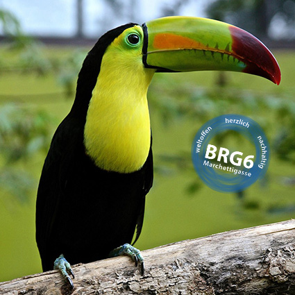 Tukan_front.jpg  